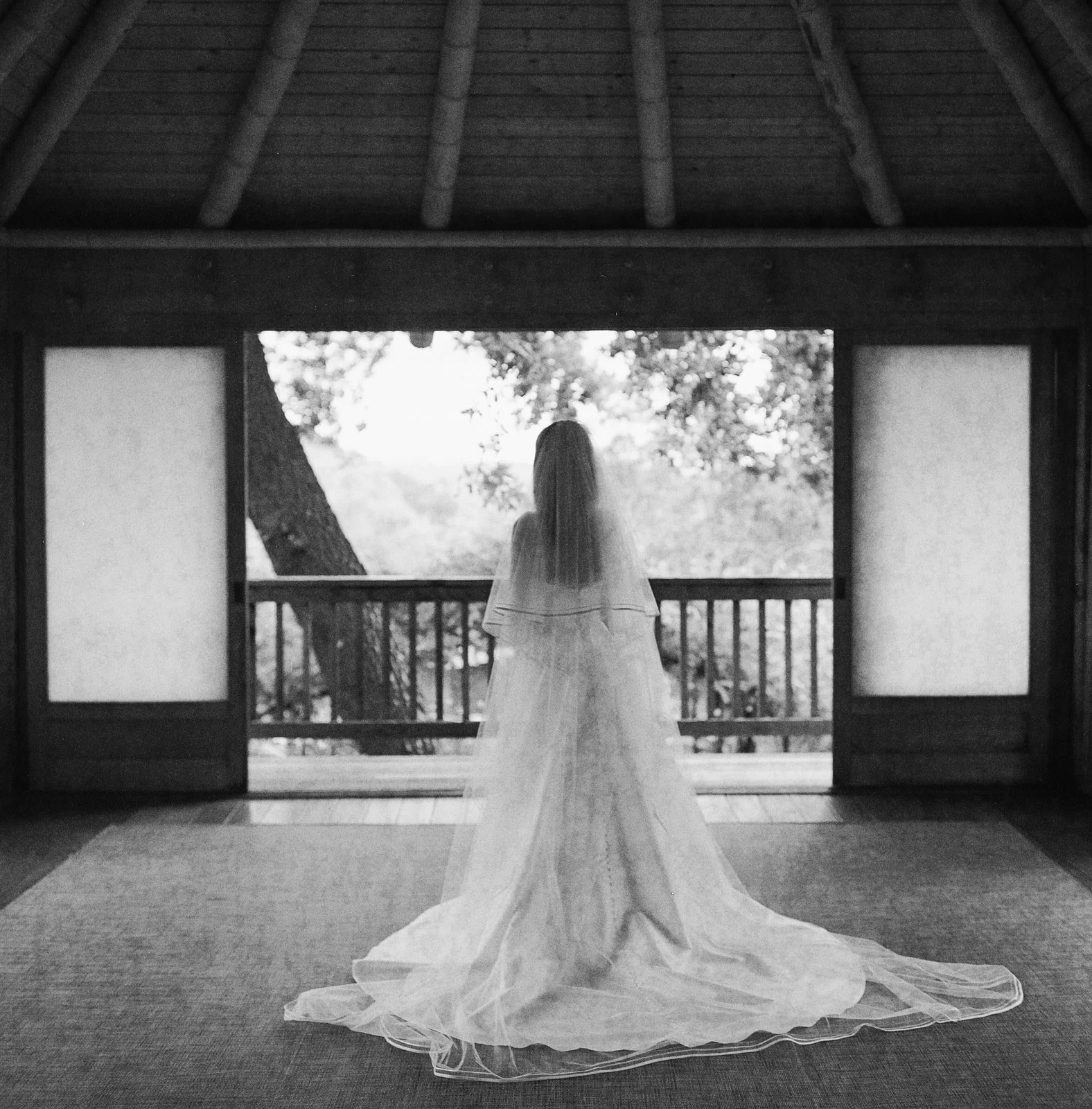 0054-Allison and Hayden Social Previews-WeddingDay © 2026 Will Reid Photo.jpg