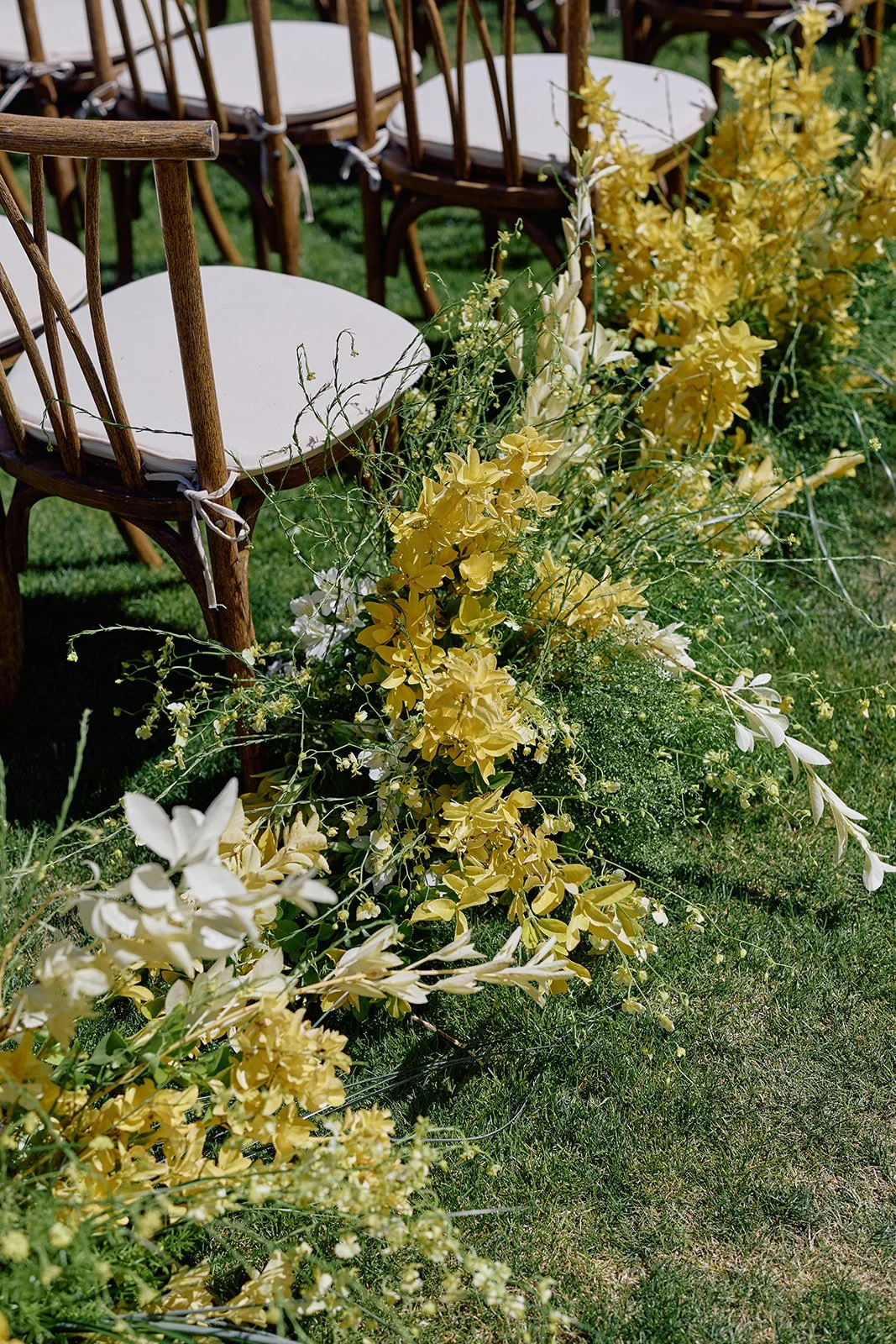 C60A2311.jpg