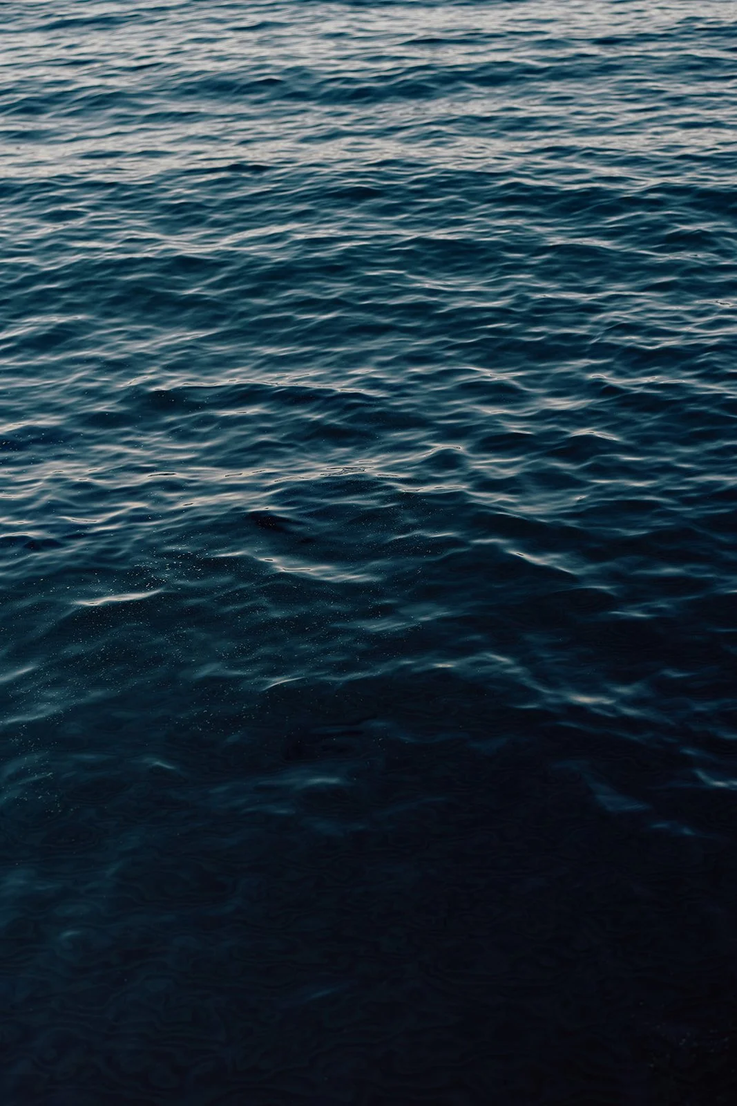 C60A0067.jpg