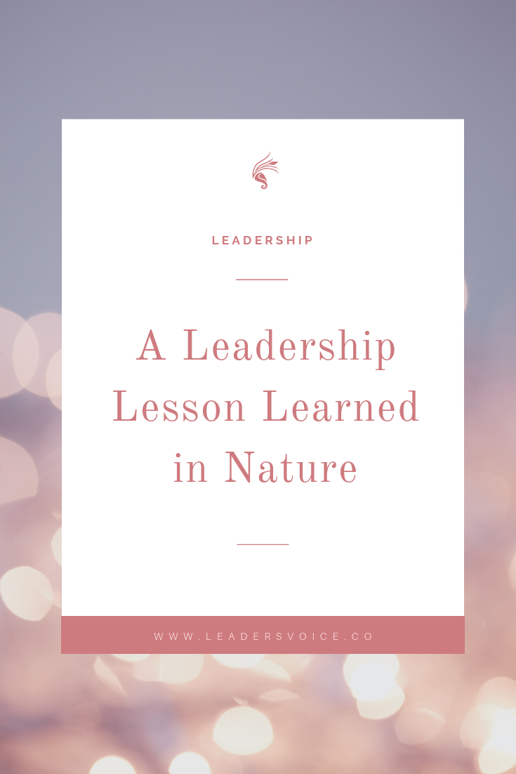 Nature Lesson.png