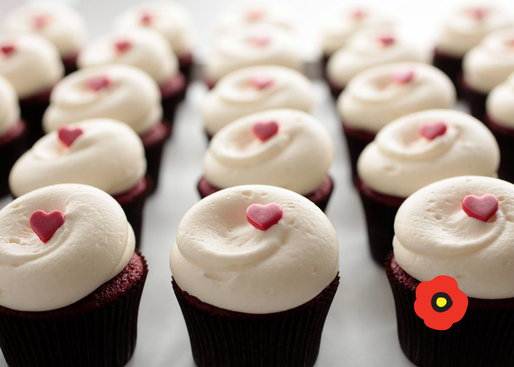 Georgetown Cupcakes comes to The Poppy Georgetown Guesthouse and Gardens in Washington DC as you can have your own cupcakes in room for arrival