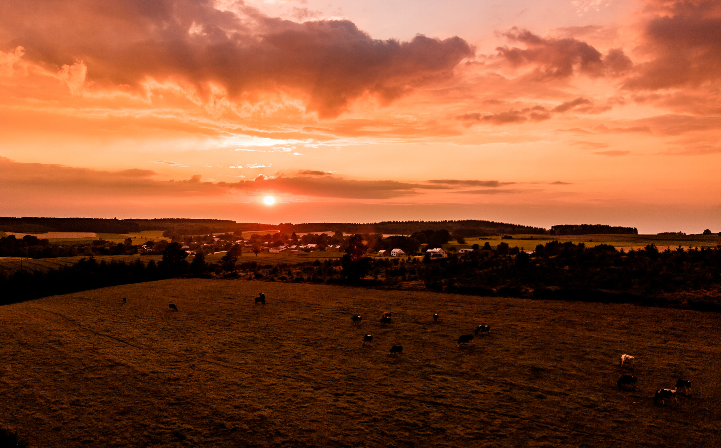 DJI_0195.JPG