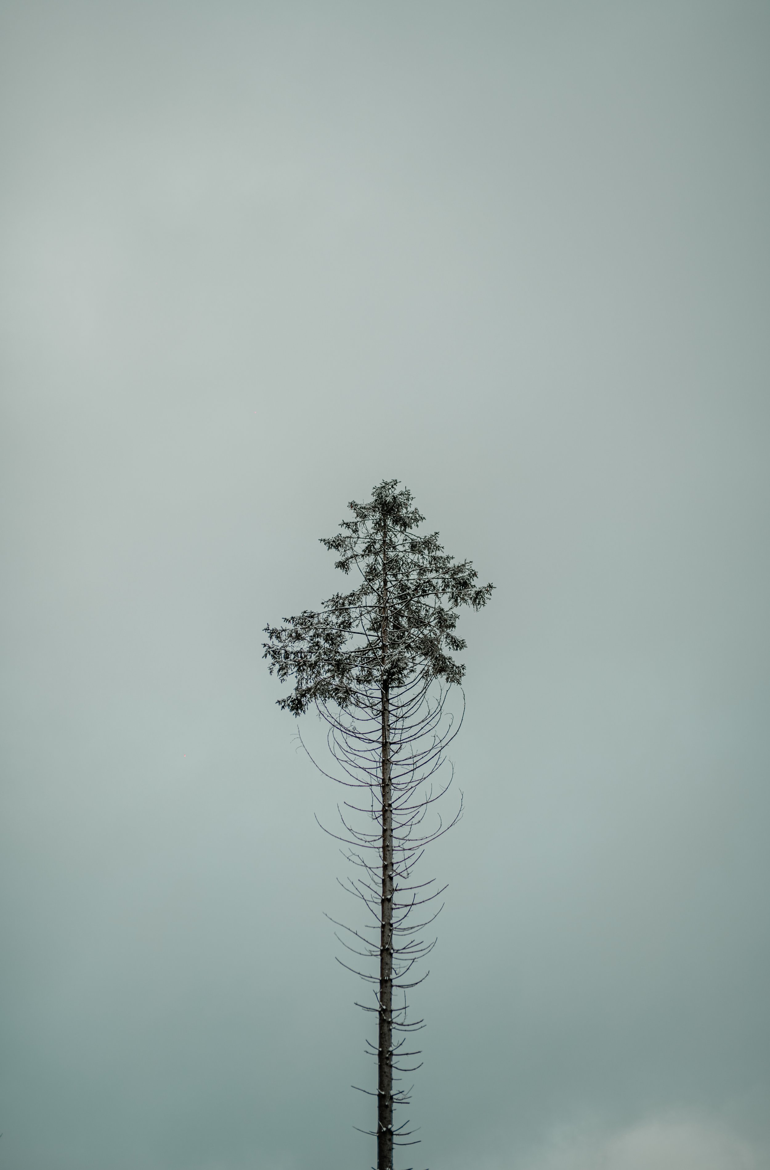 DSC_0883-Edit.JPG