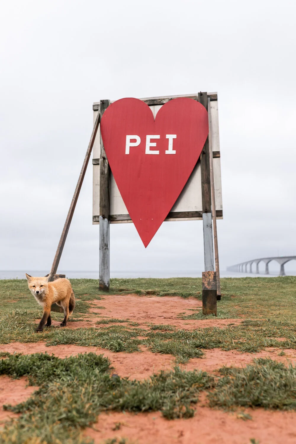 Glamping in the Treetops: A Unique Prince Edward Island Camping Itinerary