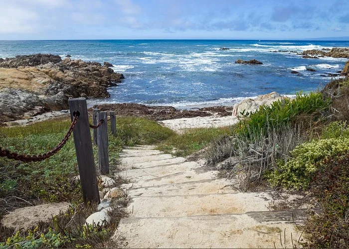 stairway-to-asilomar-state-beach-priya-ghose.jpg
