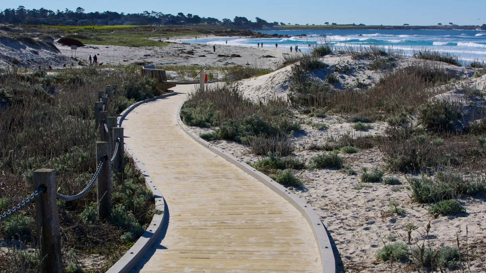 26855-Asilomar-State-Beach.jpg