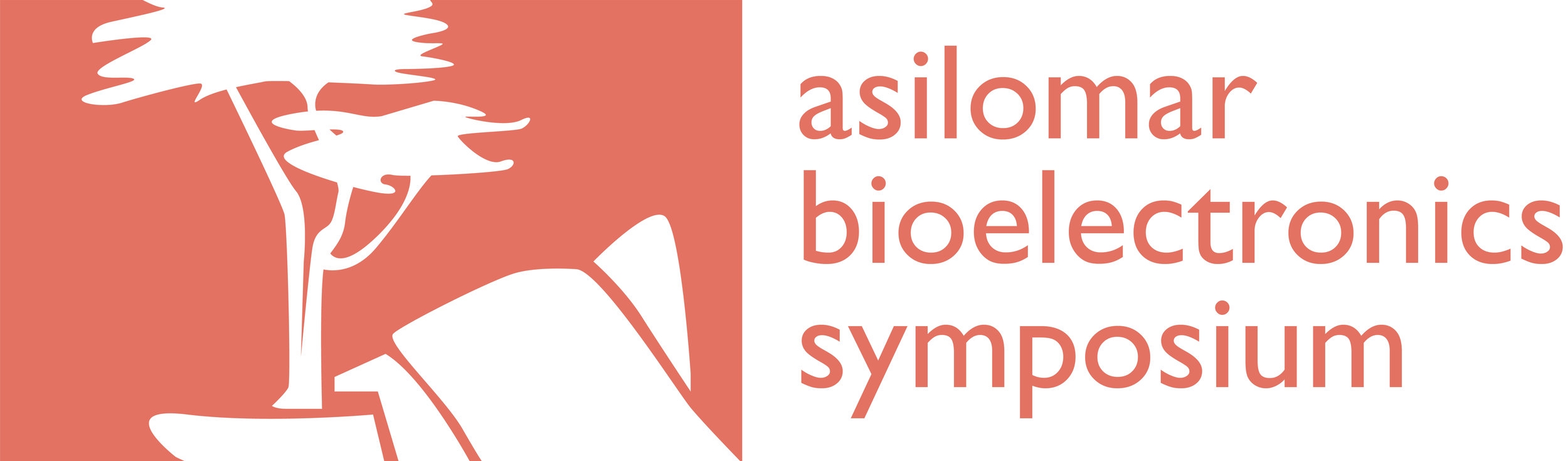 Asilomar Bioelectronics 
