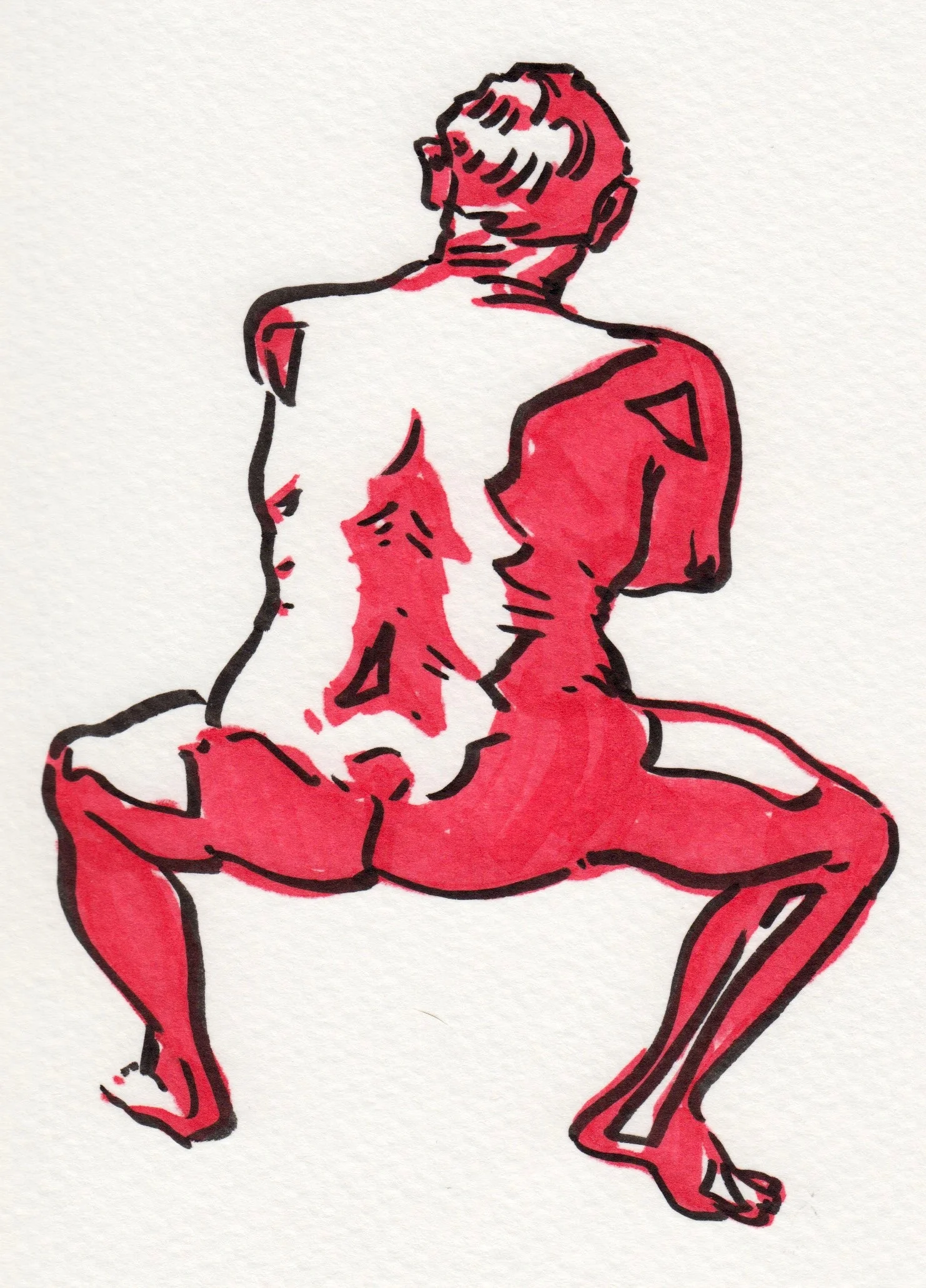 RedFig4.jpg