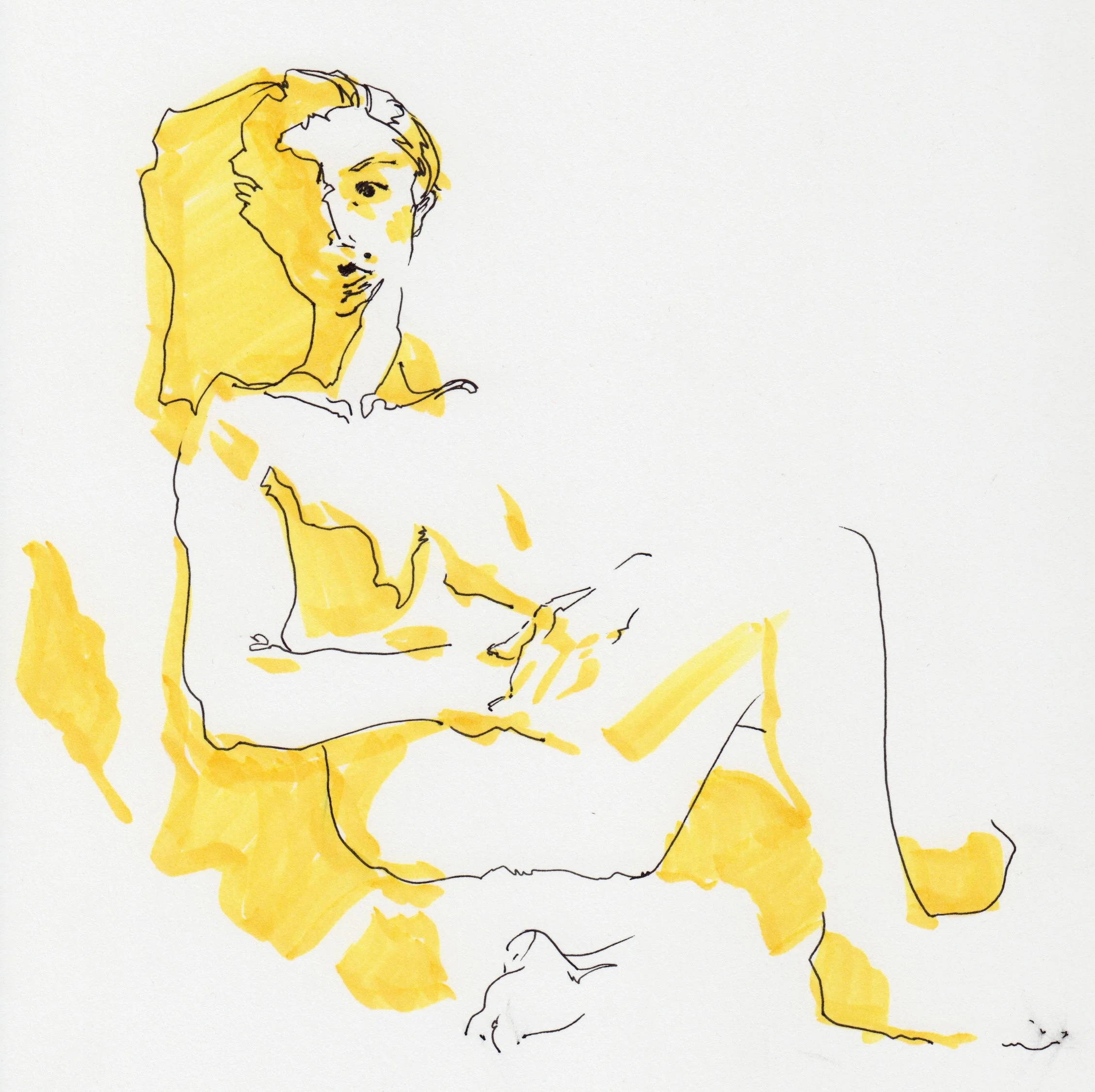 YellowFig1.jpg