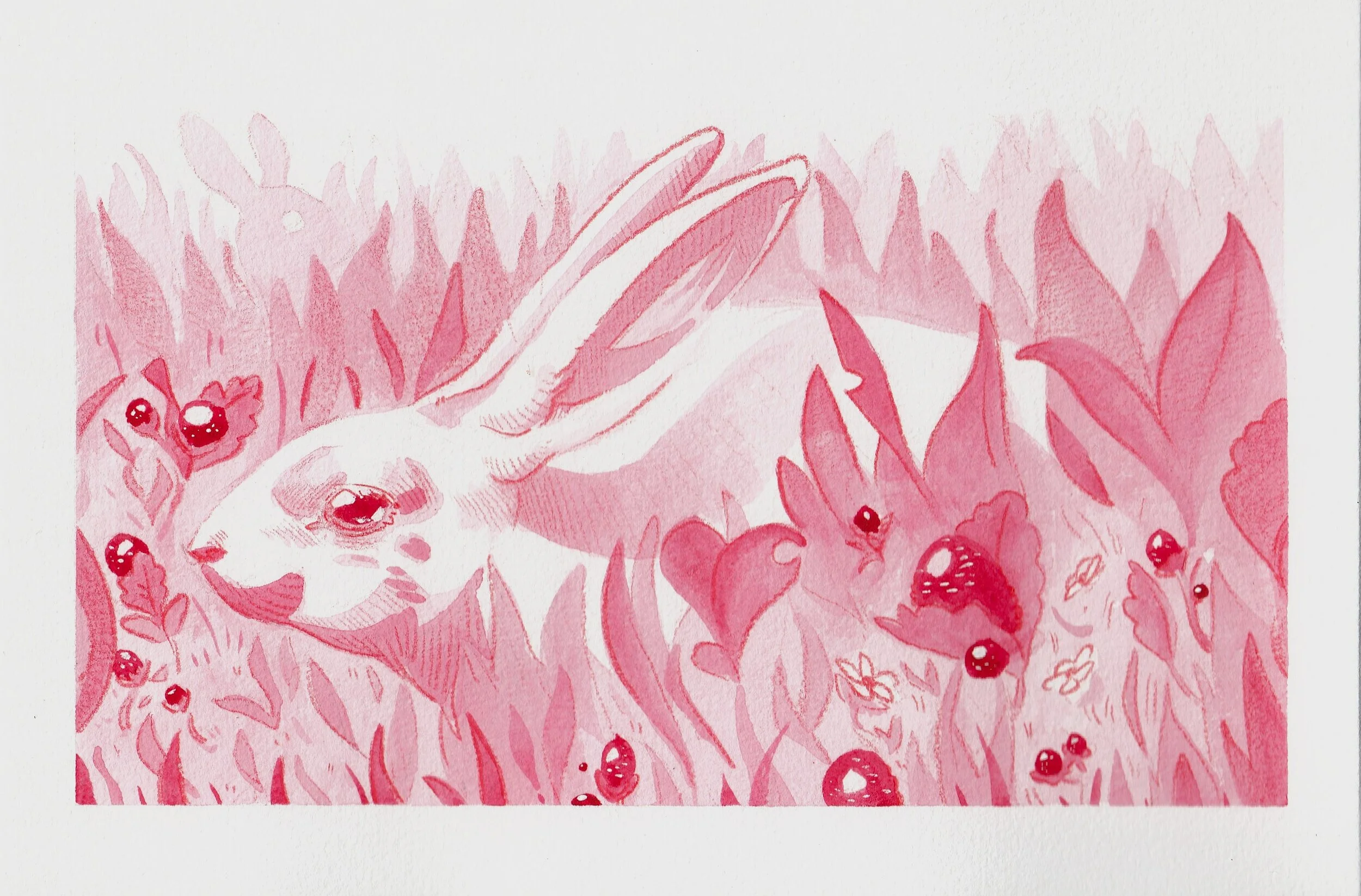 whiterabbit.jpg