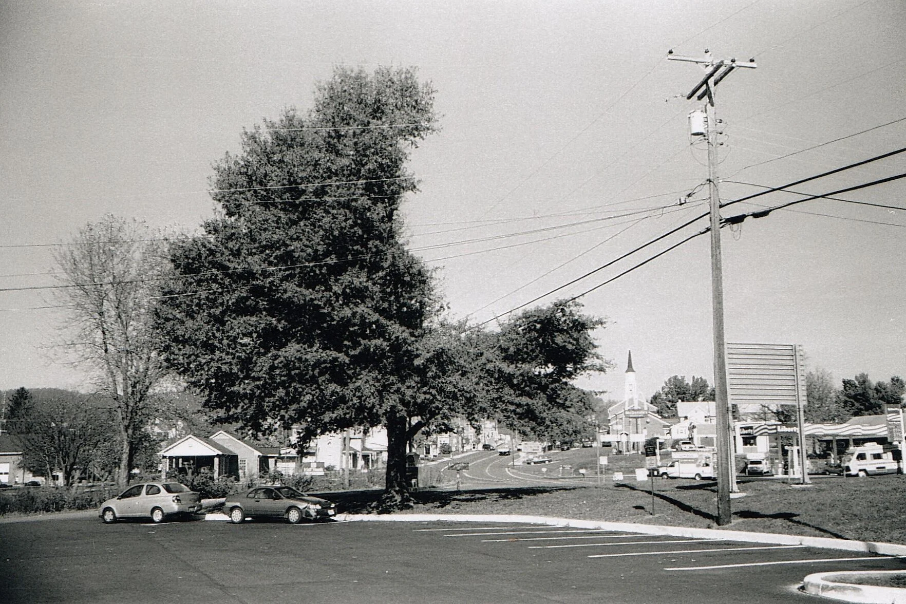 treeandwires.jpg