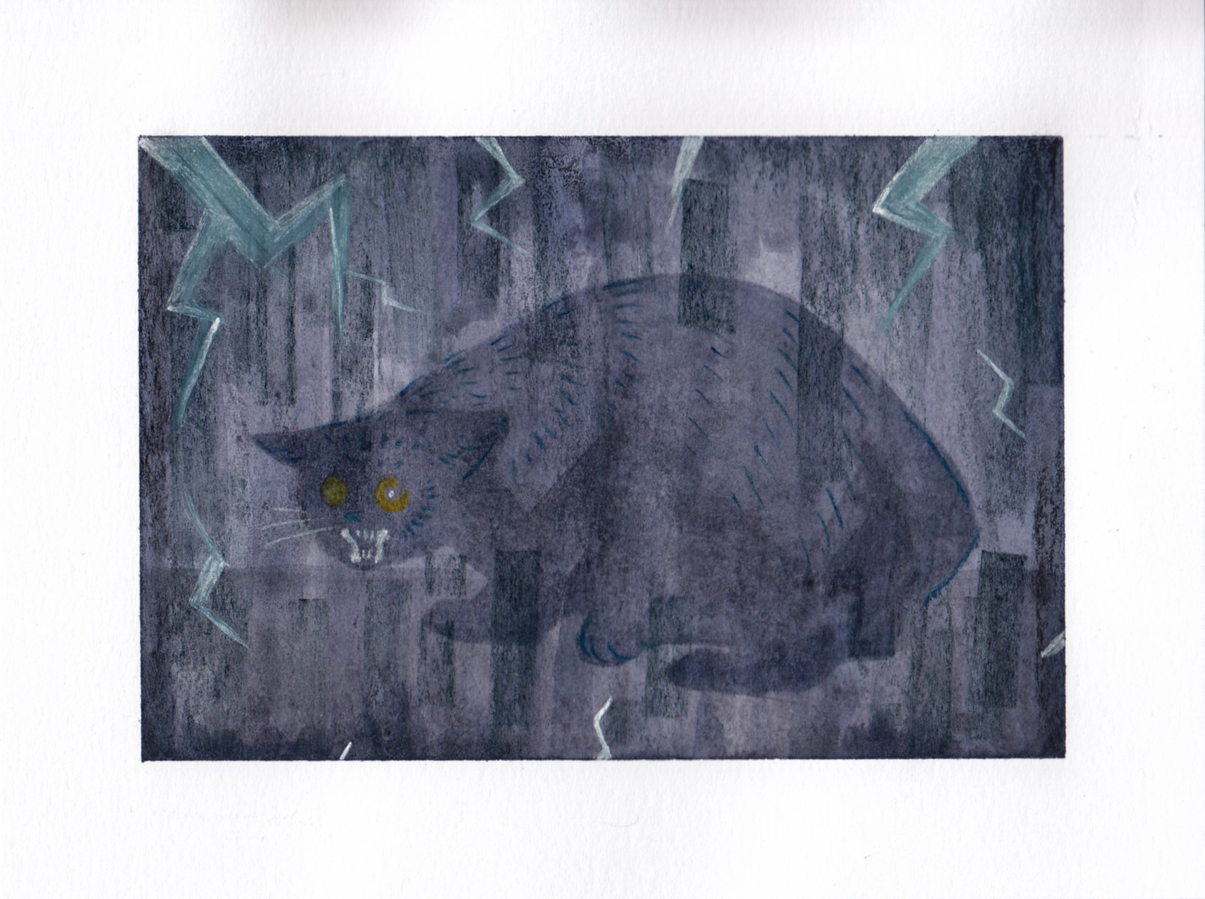 blackcat.jpg