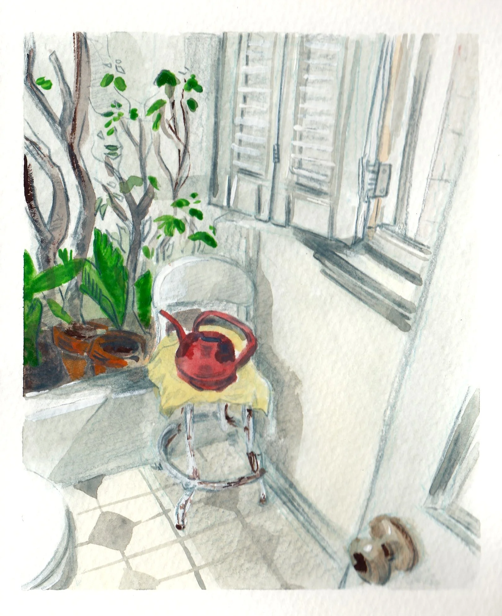 grandmasshop2019.jpg
