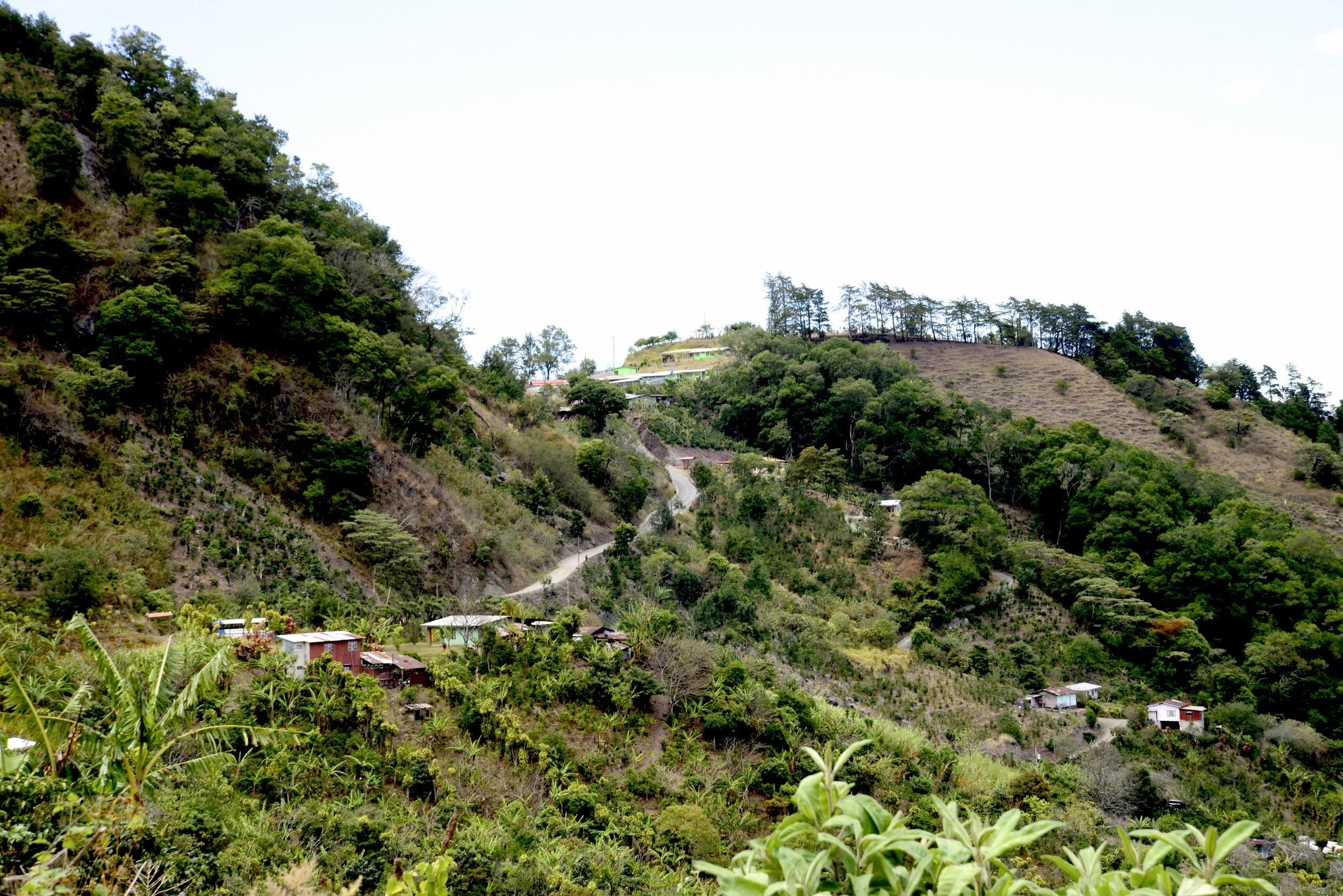_DSC0515.jpg