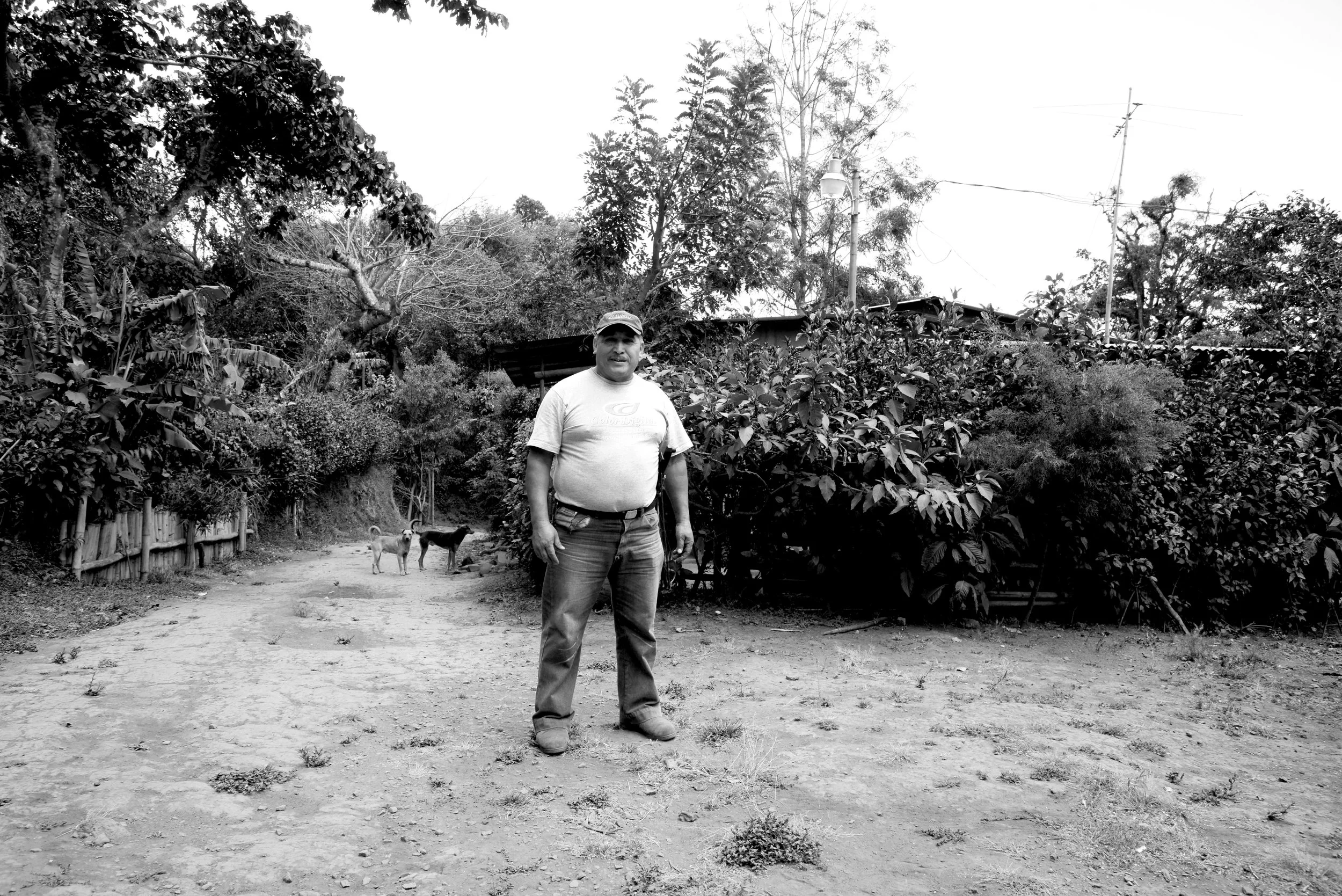 _DSC2873bw.jpg