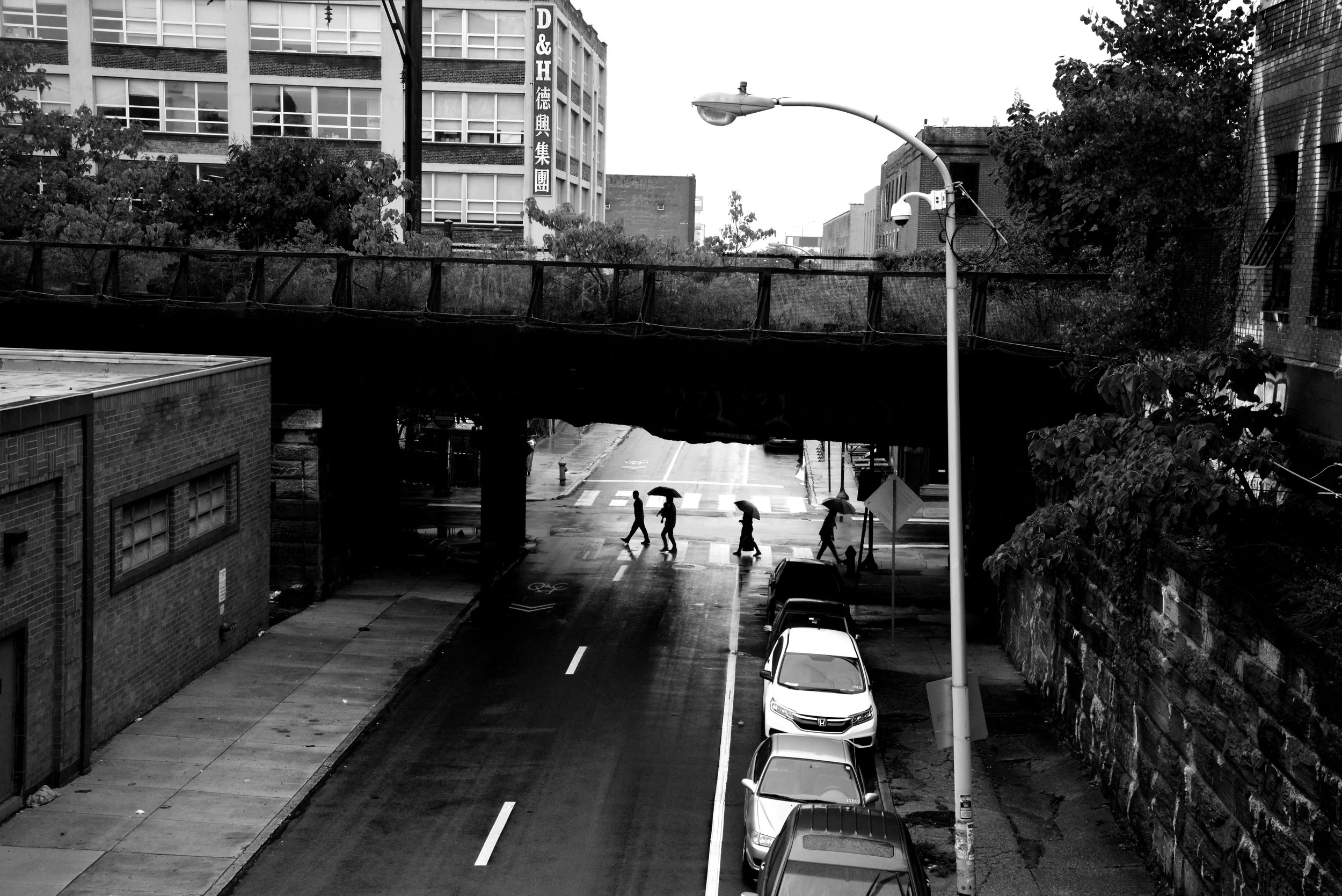 _DSC4072bw.jpg