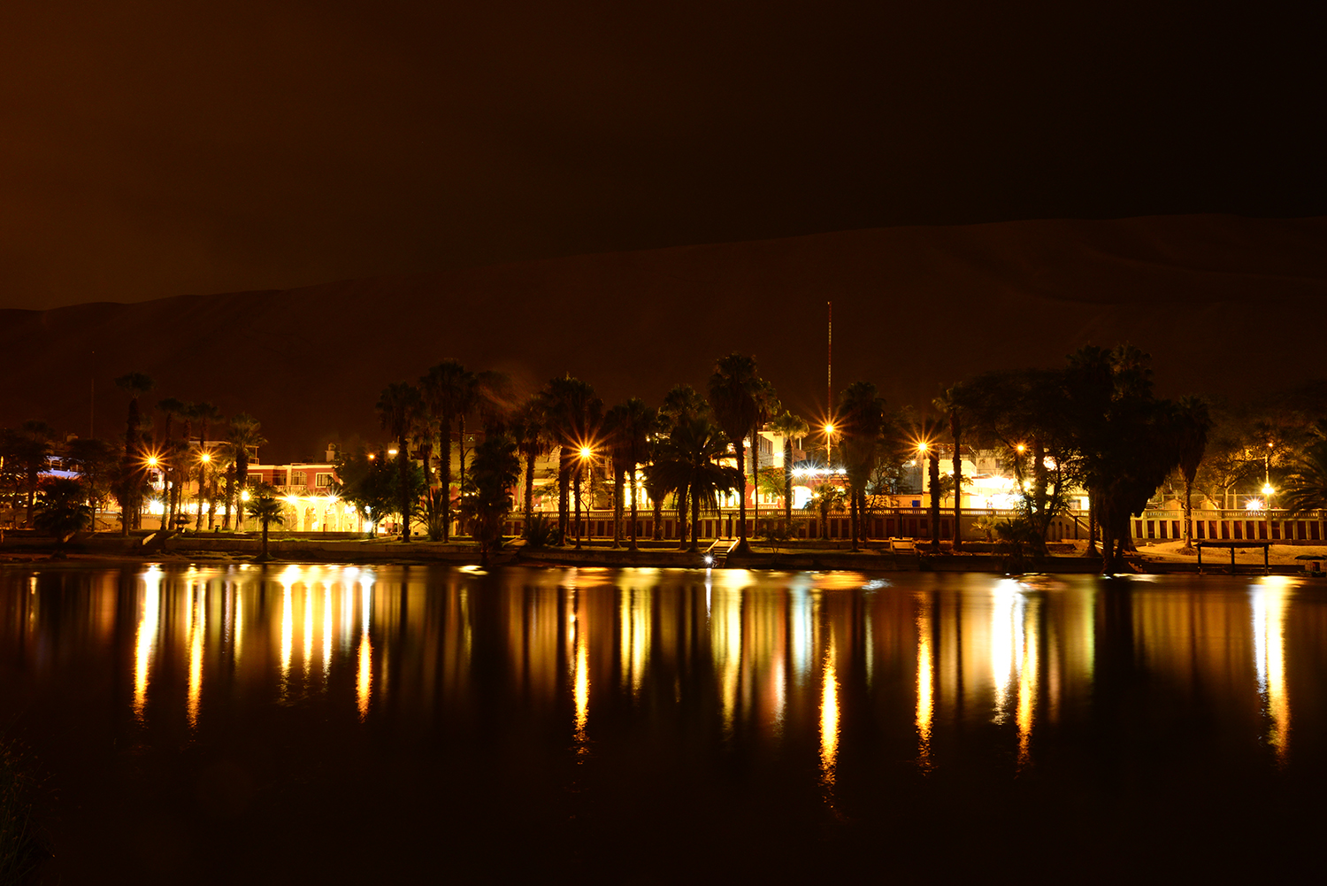 _DSC4602square.jpg