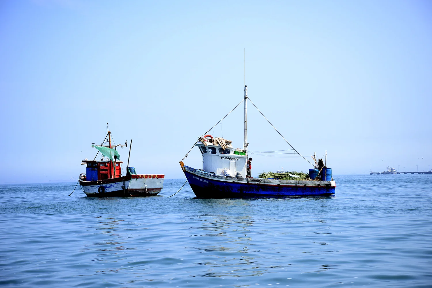 _DSC4602square8.jpg