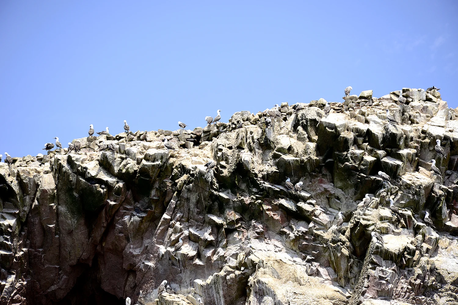 _DSC4602square15.jpg