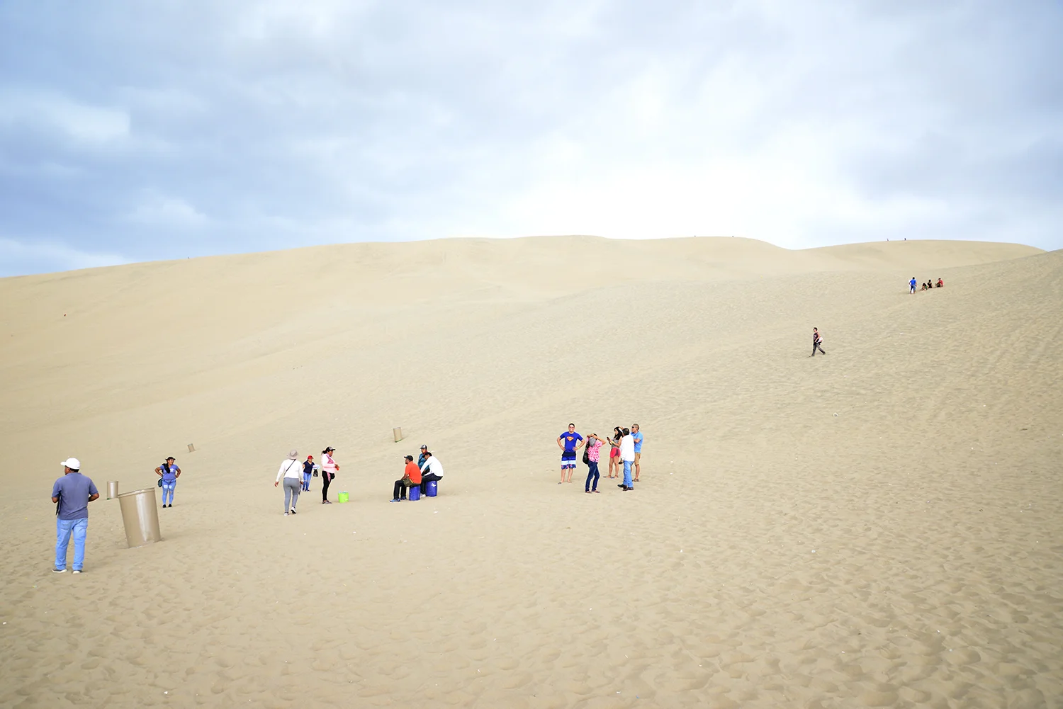 _DSC4705square.jpg