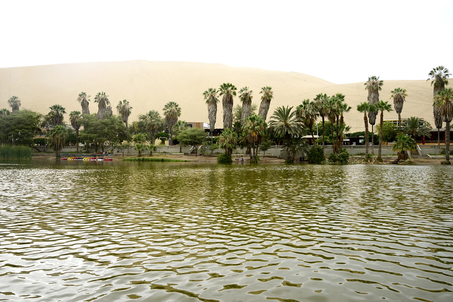 _DSC4786square.jpg