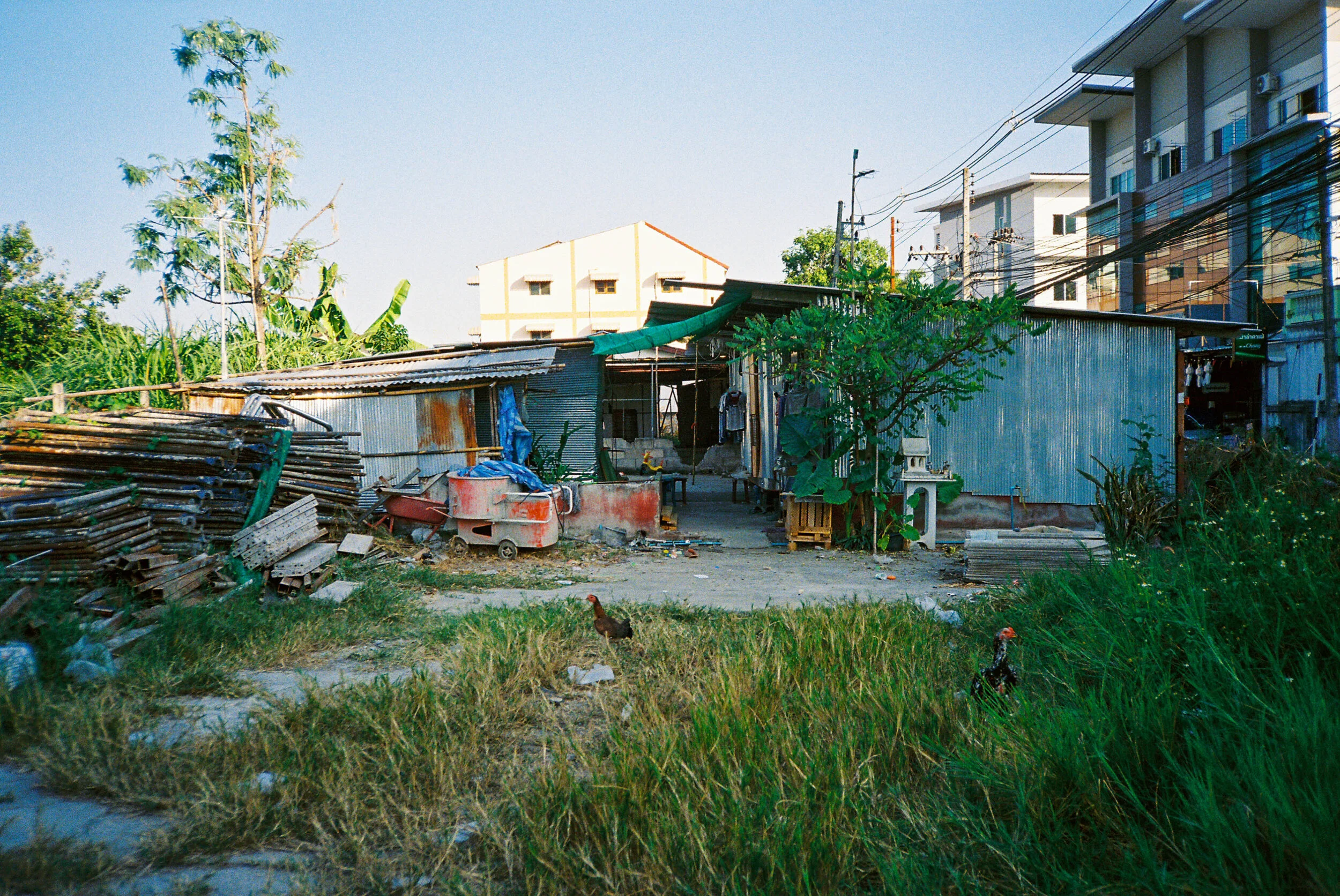 THAI ANALOG-104.jpg