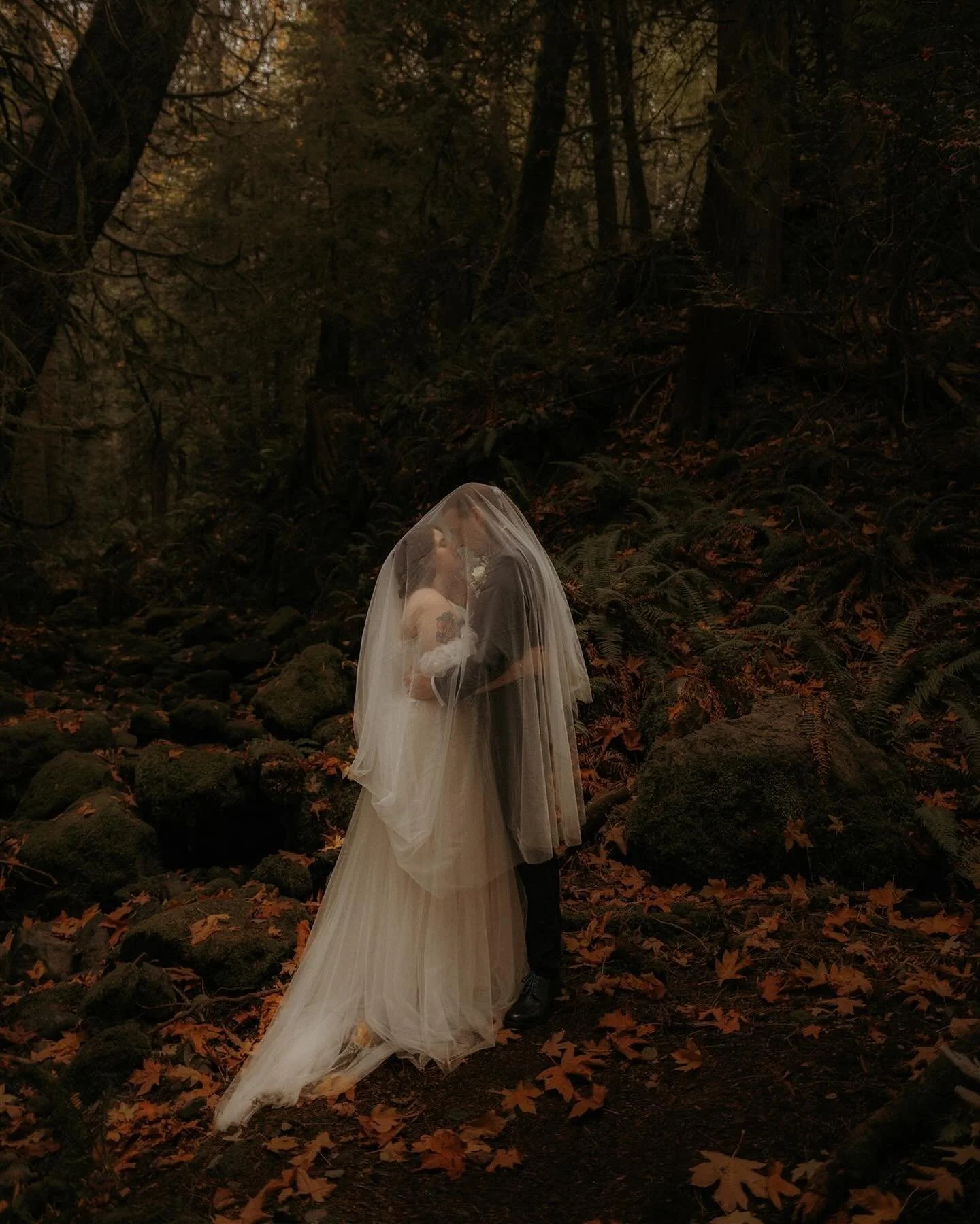 Words are hard when describing how I feel about this stunning wedding day. I guess that&rsquo;s why I gravitate towards visual arts, because it helps me communicate better. W &amp; C, thank you so much for choosing me to capture your incredible day ❤