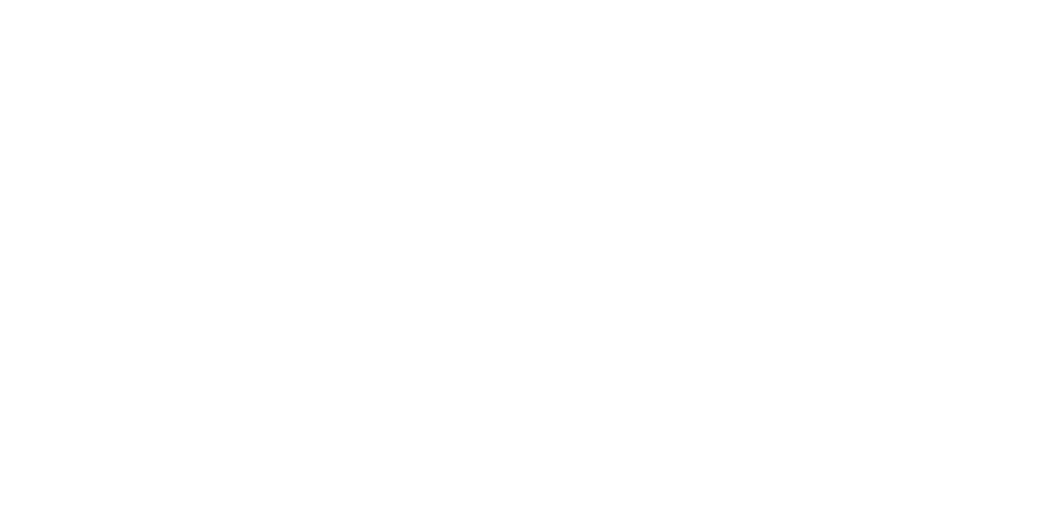Michael Seethaler