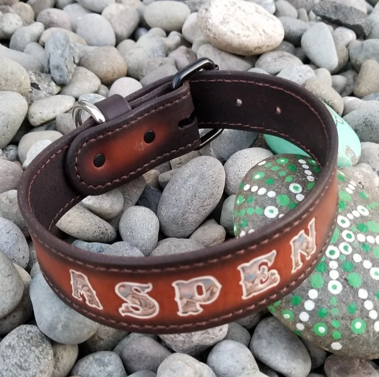 Dog Collar