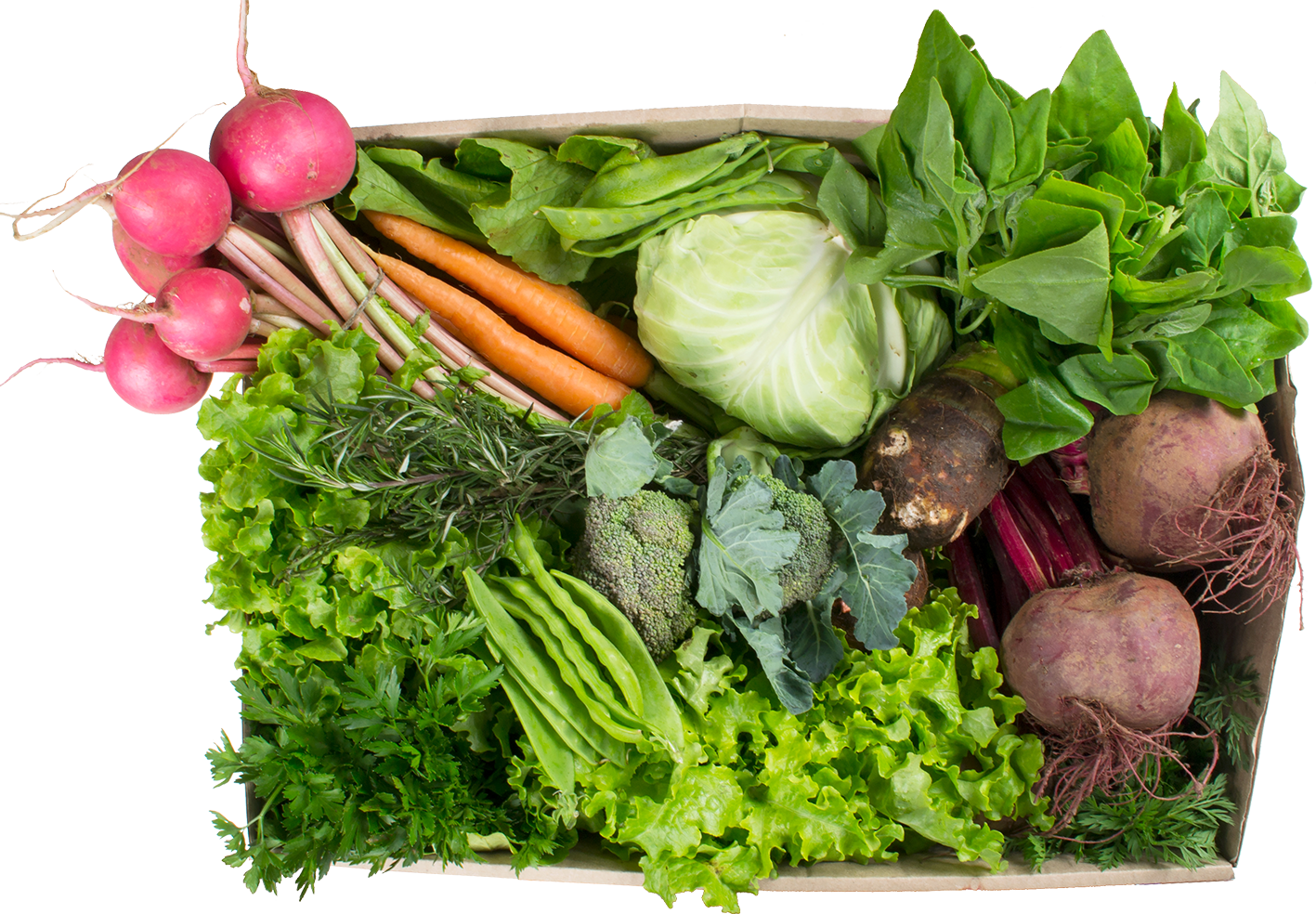 cesta-veg-G-superior-PNG.png