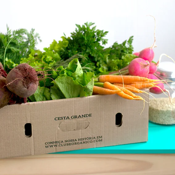 cesta-vegetais-mesa-por-assinatura-clube-organico.jpg