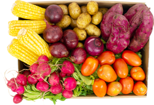 cesta-legumes-g.png