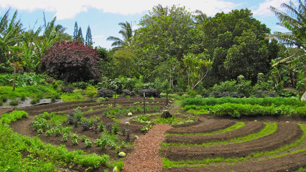 permaculture-garden-1024x576.jpg