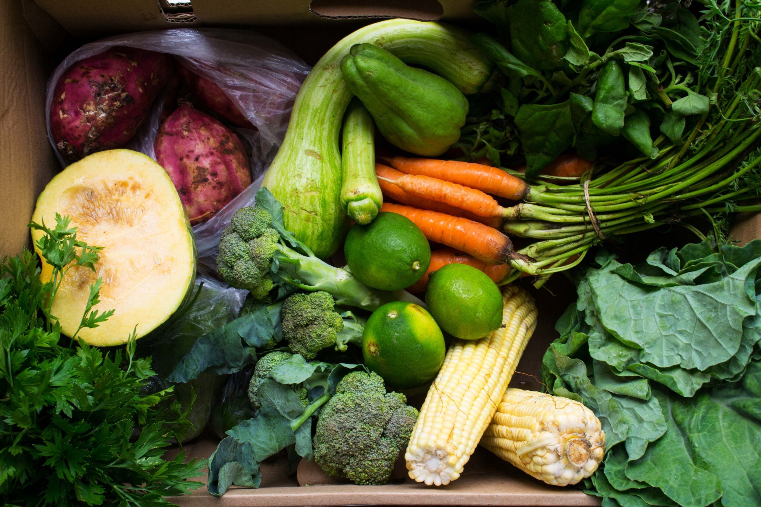 CESTA-como-aproveitar-melhor-os-alimentos.jpeg