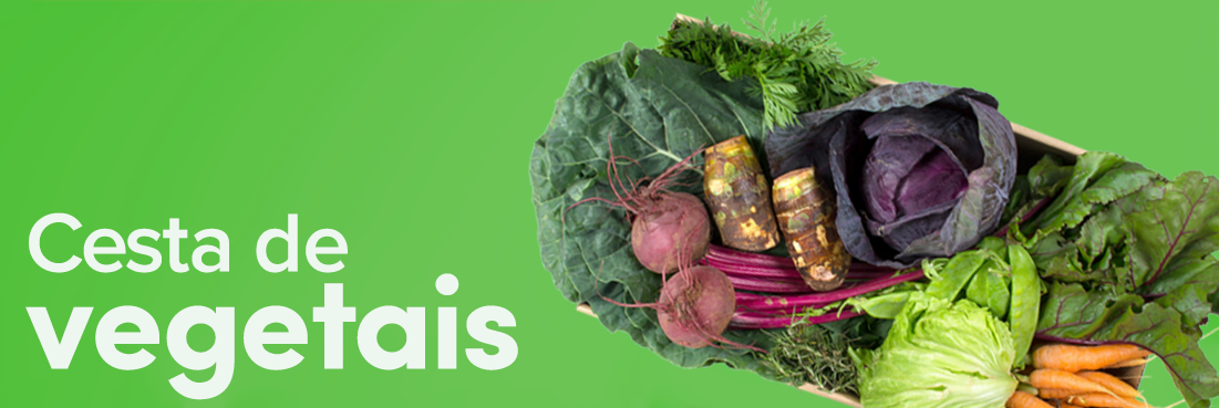 cesta-de-vegetais_web (1).png
