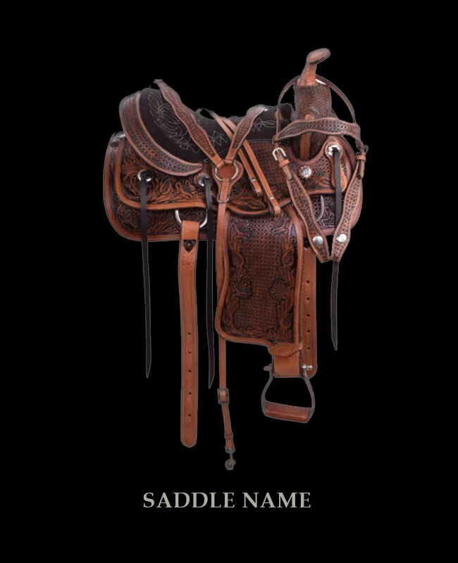 test-saddle-12.jpg