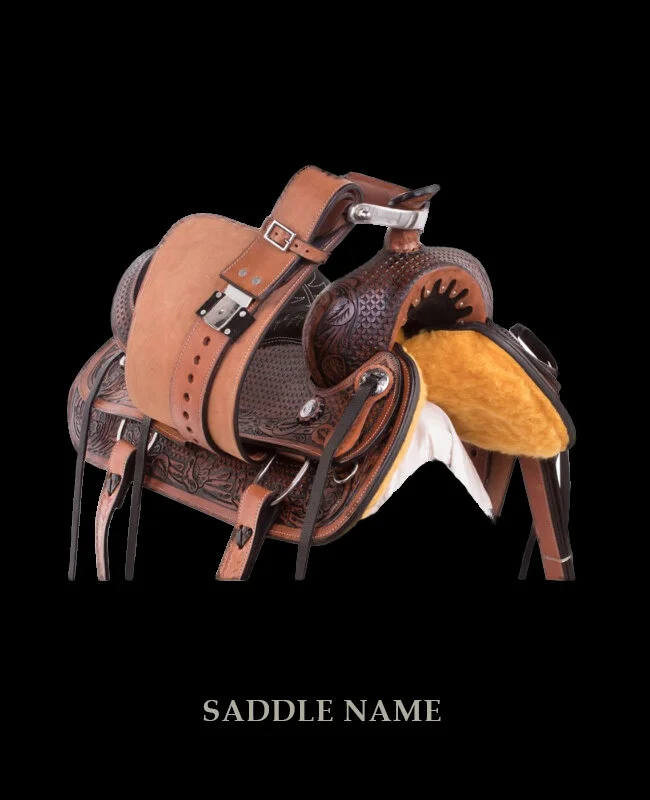 test-saddle-11.jpg