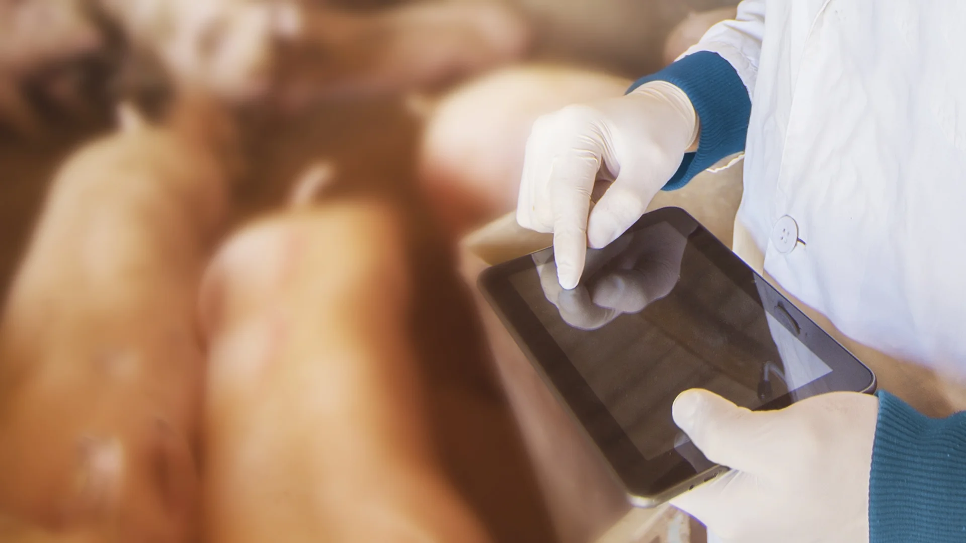 ANALÍTICA EN EL SECTOR DE PROTEÍNA ANIMAL.jpg