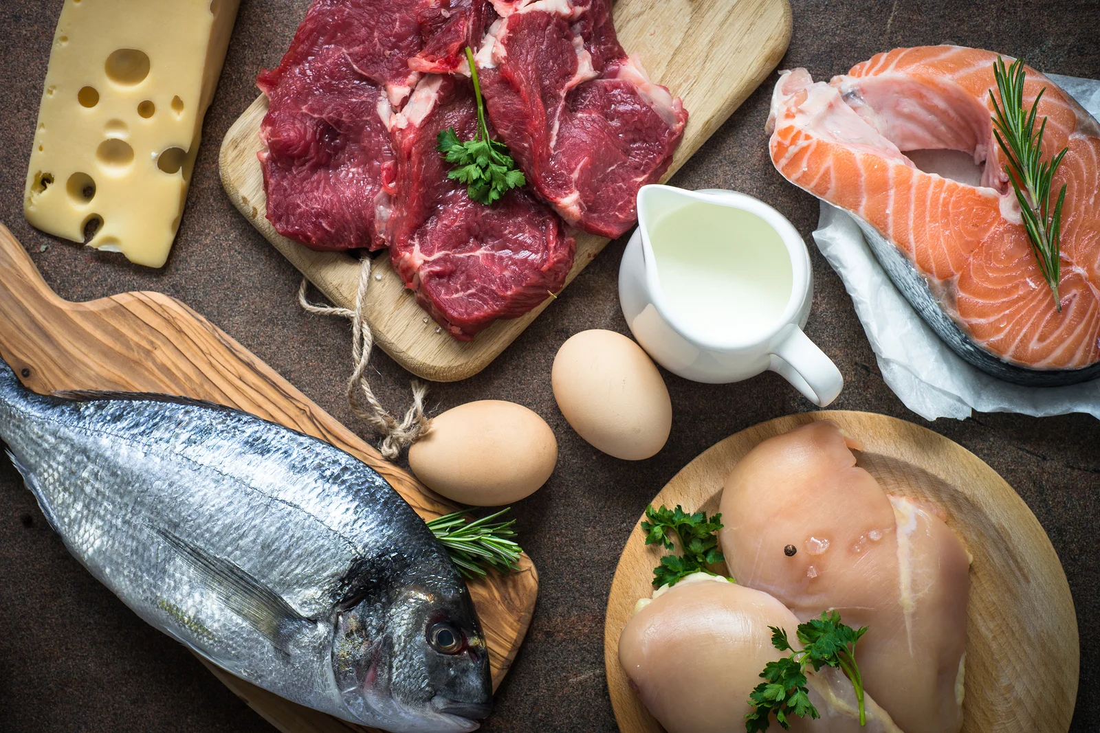 Proteina animal.jpg
