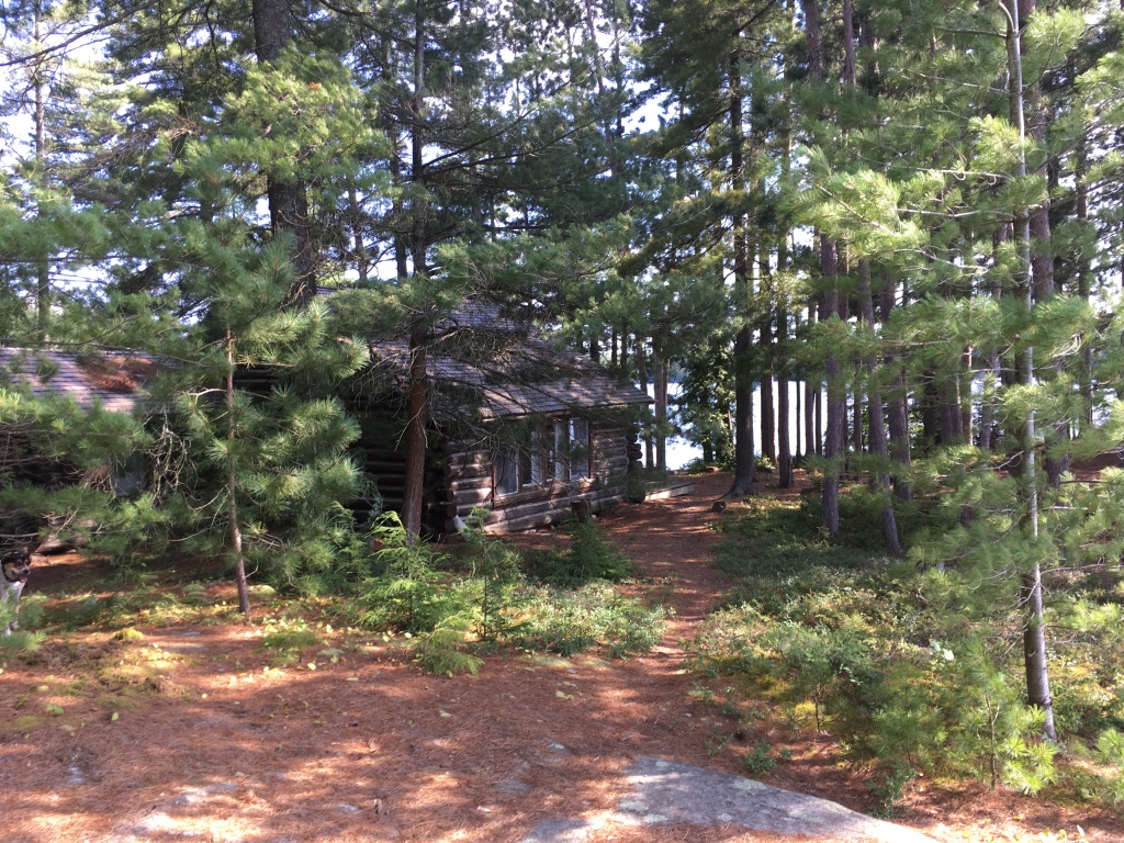 cabin.jpg