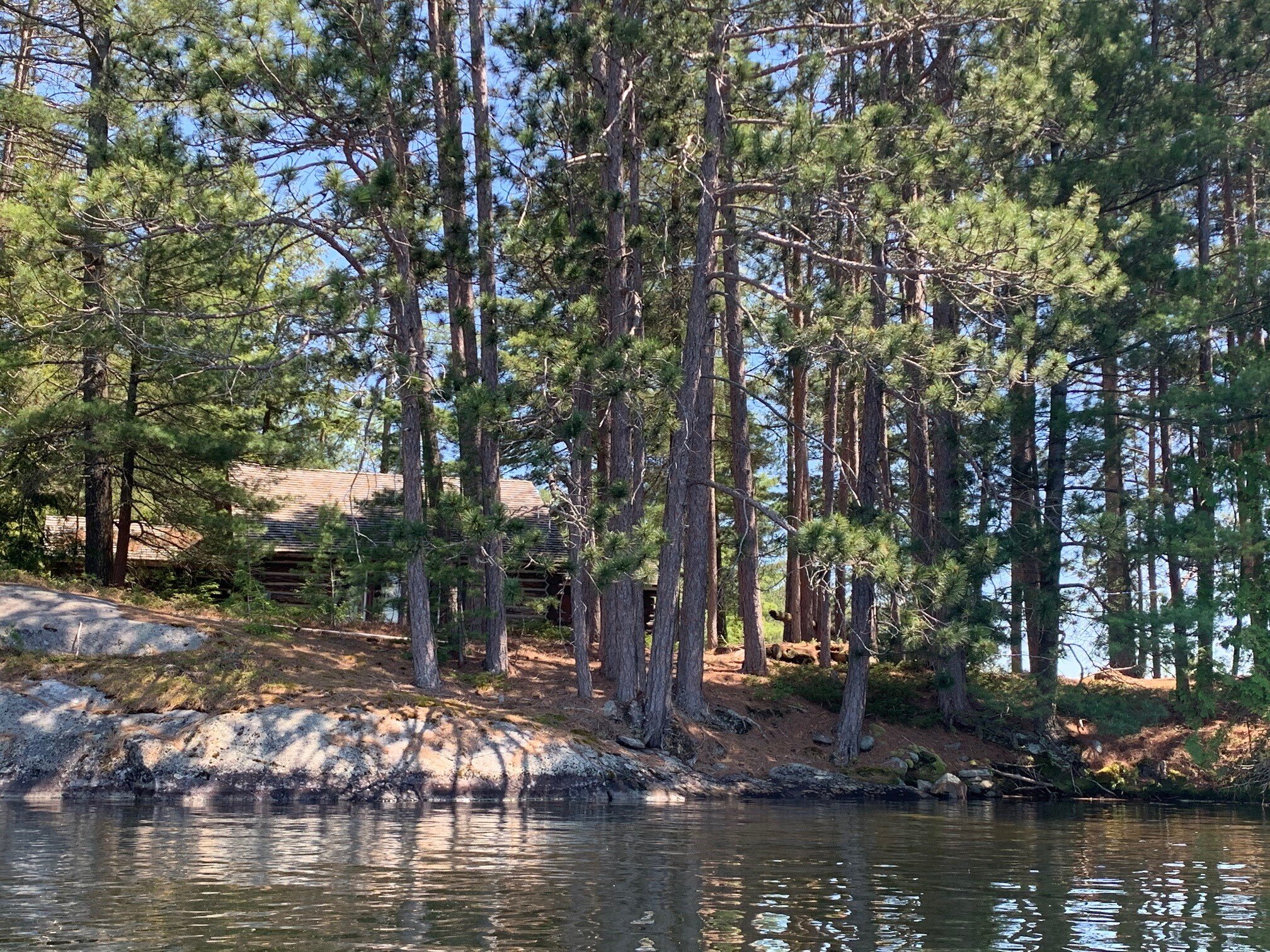 cabin through trees from water.jpg