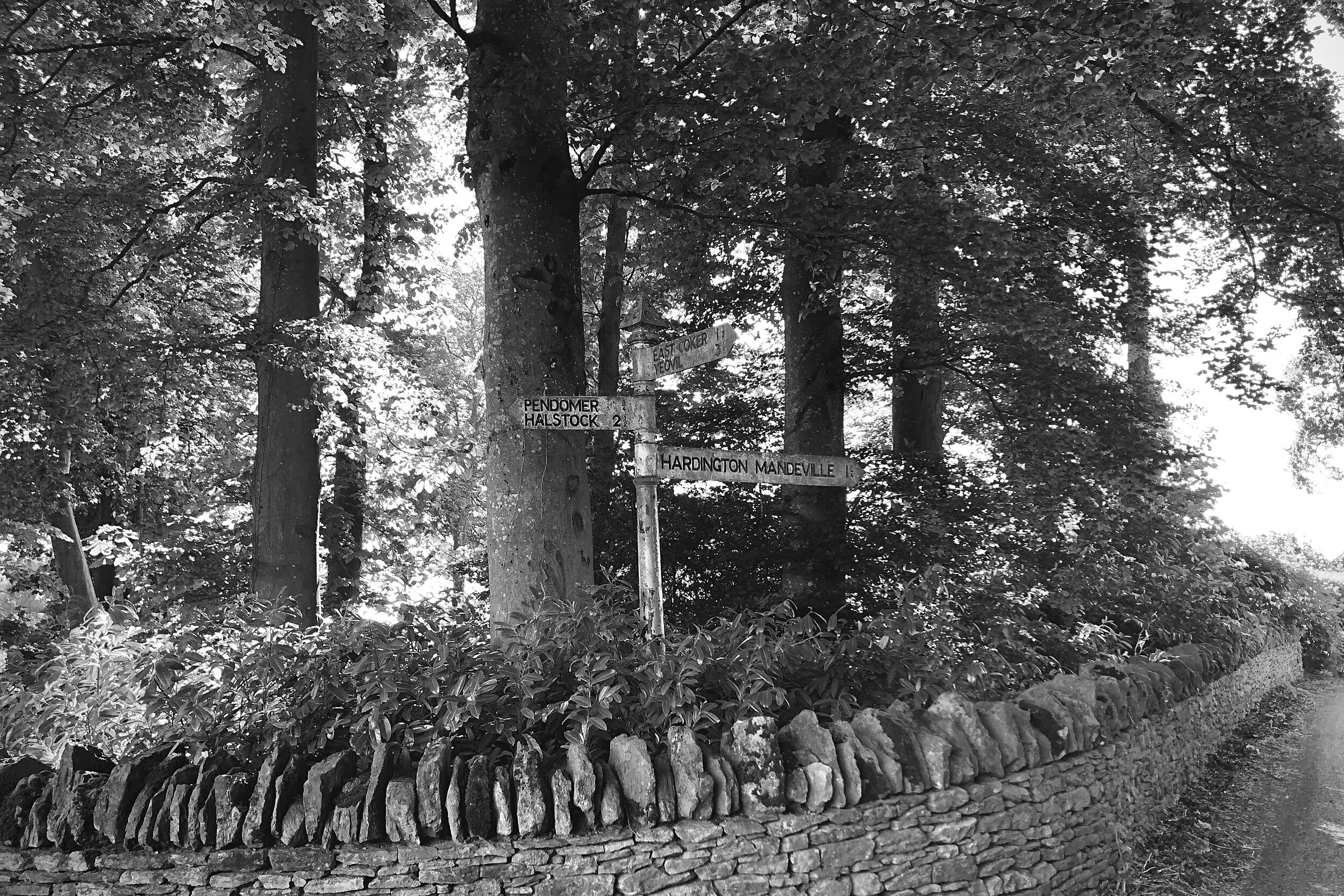  The pinnacle of life.