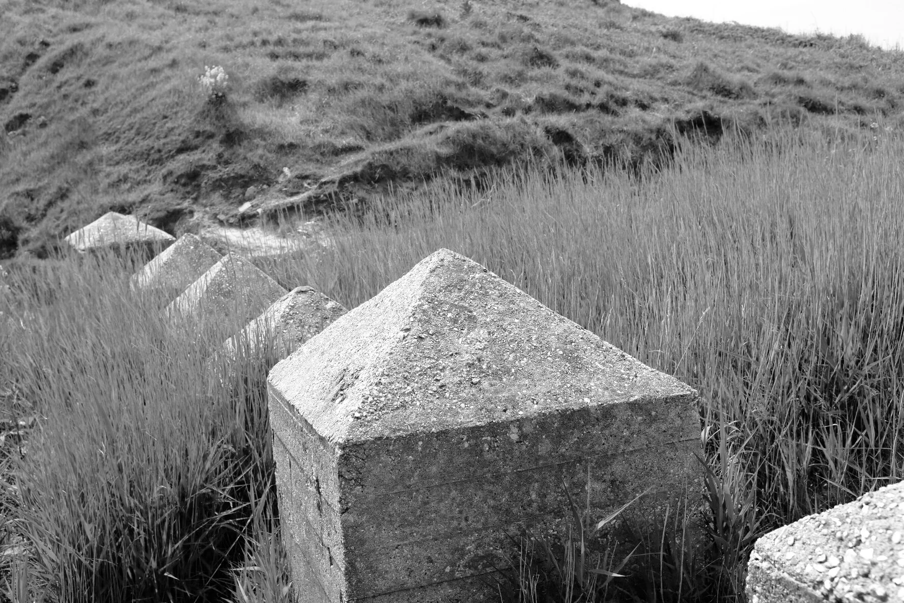 The healing process.