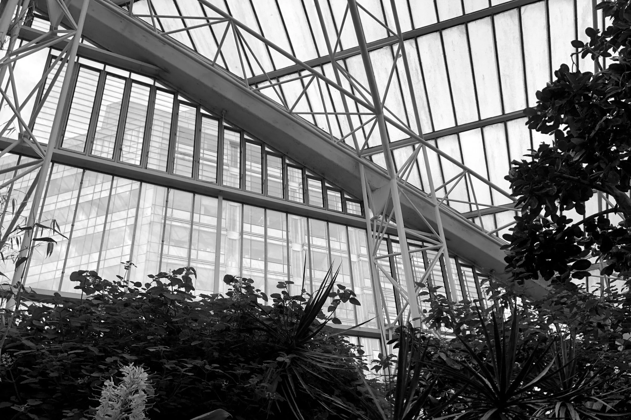 Hold many to ransom.