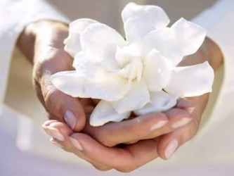 White flower.jpg
