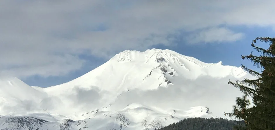 Shasta snowy (2).JPG