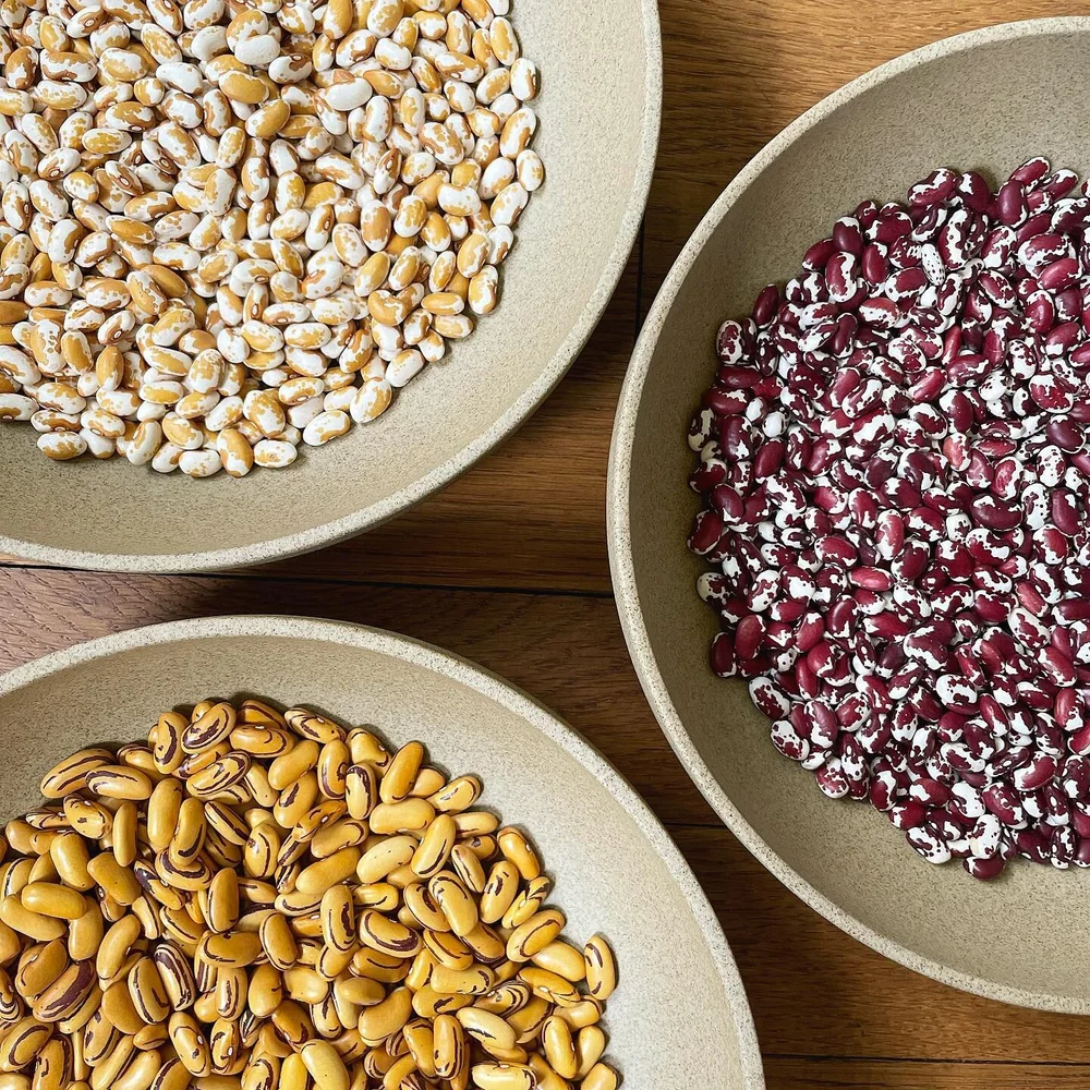 Look at these gorgeous beans!!! So excited to be participating in a pilot project with @primarybeans to help determine which of these 3 varieties gets planted for the next growing season. My grandparents on both sides are farmers, but growing up and 
