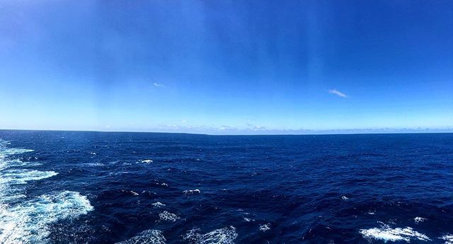 Sailing ⬇️ south to the Falkland Islands today and I can&rsquo;t get enough of these blues
