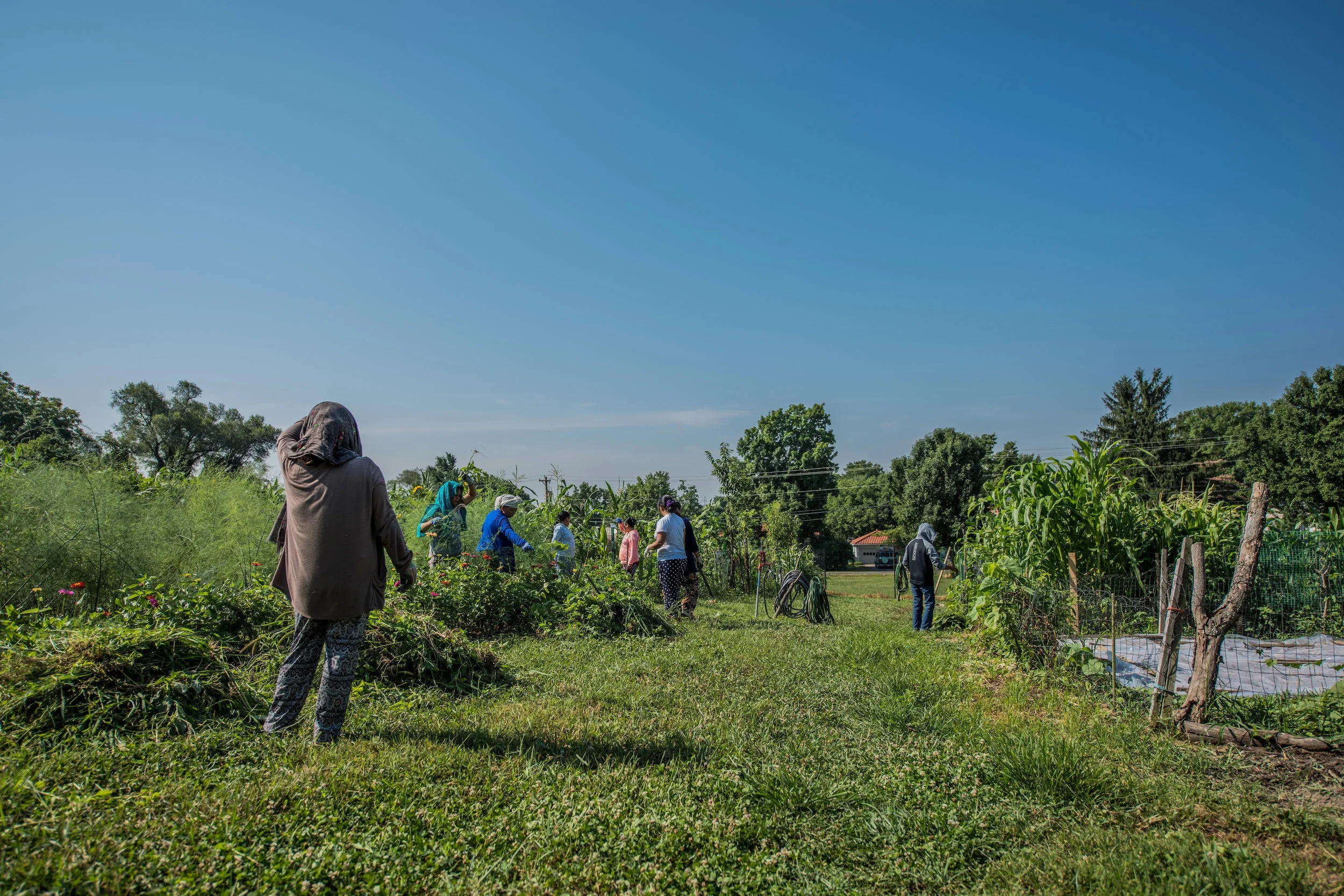 HFTB_CommunityGarden_LisaTimman-0466.jpg