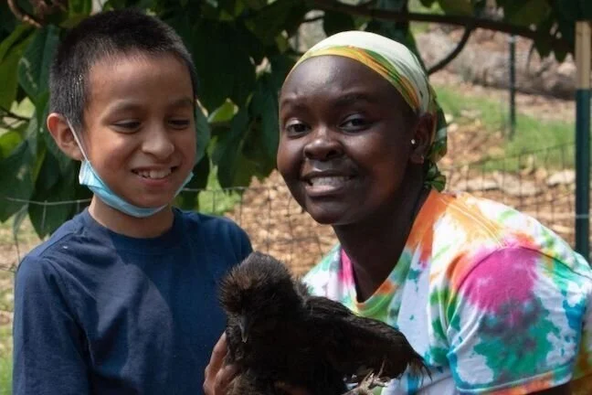 An Intern's Reflection: By Isabella Daley